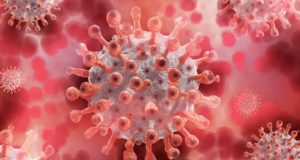 72 случая заражения и еще четыре смерти: сводка по коронавирусу