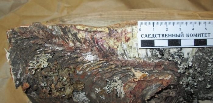 Житель Усть-Коксы приревновал сожительницу к гостю и был забит поленом до смерти