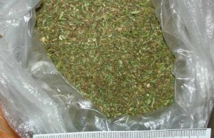 У жителя Усть-Канского района второй раз подряд изъяли более килограмма марихуаны