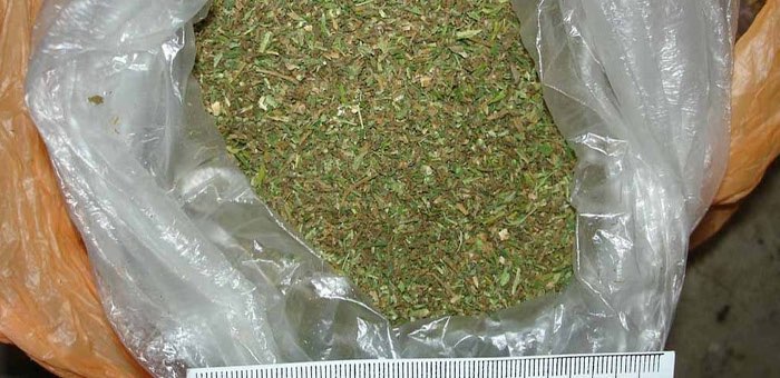 У жителя Усть-Канского района второй раз подряд изъяли более килограмма марихуаны