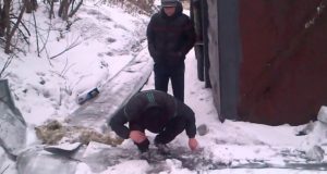 Два подростка в Майме попались на закладке наркотиков Два подростка в Майме попались на закладке наркотиков
