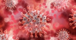 За сутки выявлено 26 случаев заражения коронавирусом