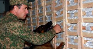 Как поработали служебные собаки Алтайской таможни в прошлом году