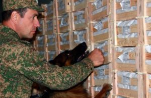 Как поработали служебные собаки Алтайской таможни в прошлом году