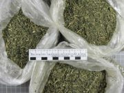 Прятал в бане почти 2 кг марихуаны Прятал в бане почти 2 кг марихуаны