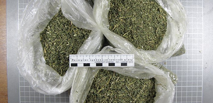 Прятал в бане почти 2 кг марихуаны