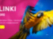 Товары для животных от магазина «Malinki ZooStore»