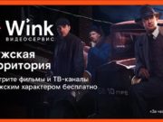Встречайте 23 февраля на мужской территории Wink Встречайте 23 февраля на мужской территории Wink