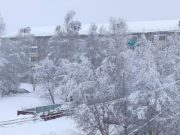 Опять штормовое предупреждение: ветер, метели, похолодание Опять штормовое предупреждение: ветер, метели, похолодание
