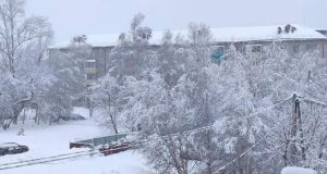 Опять штормовое предупреждение: ветер, метели, похолодание Опять штормовое предупреждение: ветер, метели, похолодание