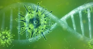 Сводка по коронавирусу: 48 новых случаев за сутки
