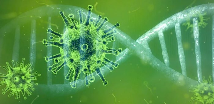 Сводка по коронавирусу: 48 новых случаев за сутки