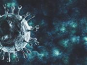 Сводка по коронавирусу: 28 новых случаев за сутки