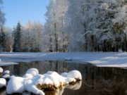 Прогноз погоды: к выходным дням осадки прекратятся, ожидается потепление до +5°С Прогноз погоды: к выходным дням осадки прекратятся, ожидается потепление до +5°С