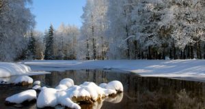Прогноз погоды: к выходным дням осадки прекратятся, ожидается потепление до +5°С Прогноз погоды: к выходным дням осадки прекратятся, ожидается потепление до +5°С