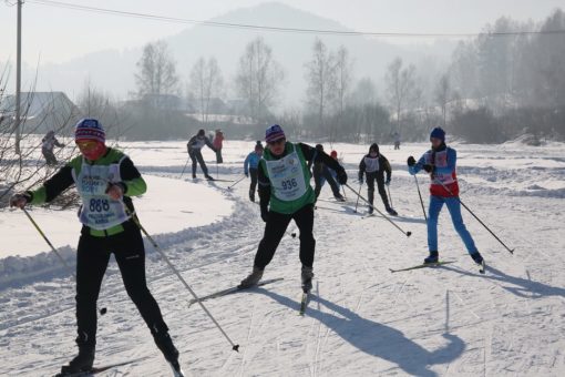 Более семисот человек поучаствовали в «Лыжне России»
