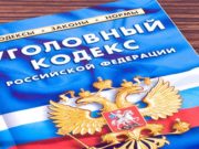 Шебалинский фермер получил условный срок за нецелевое использование гранта