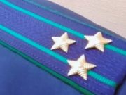 «Спасибо за проделанную работу»