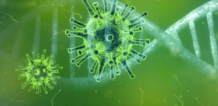 20 случаев заражения коронавирусом выявлено на Алтае за сутки