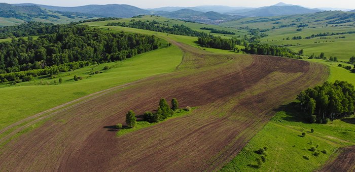 В Республике Алтай готовятся к весенним полевым работам
