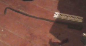 Молодая женщина жестоко убила пожилого родственника Молодая женщина жестоко убила пожилого родственника
