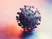 Сводка по коронавирусу: 17 новых случаев