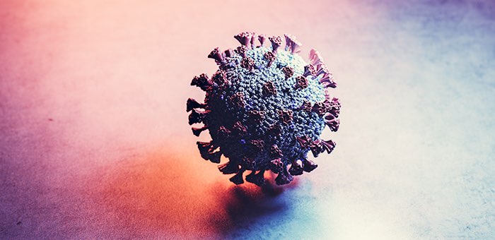 Сводка по коронавирусу: 17 новых случаев