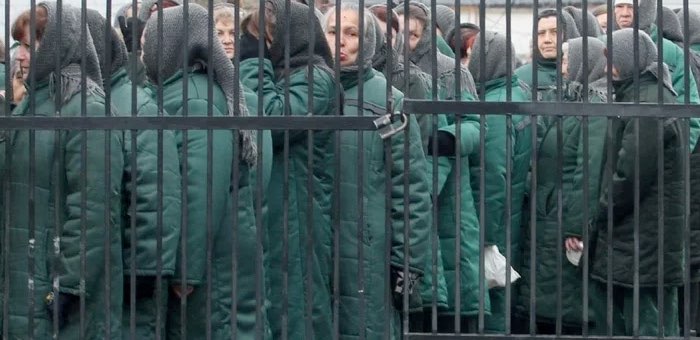 Женщину, убившую сожителя ножом, отправили в колонию