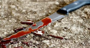 Подросток из Приморья зарезал старшего брата на Алтае Подросток из Приморья зарезал старшего брата на Алтае