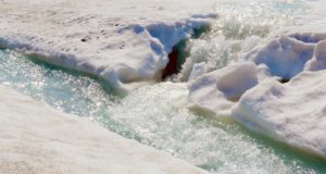 Прогноз погоды: небольшие осадки, днем иногда до +8°С