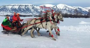 В Усть-Коксинском районе прошли соревнования по конному спорту