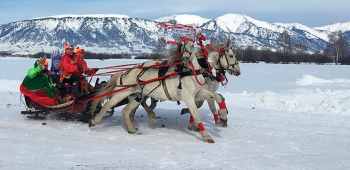 В Усть-Коксинском районе прошли соревнования по конному спорту