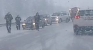 Предупреждение водителям: в соседнем Алтайском крае на дорогах штормовые условия