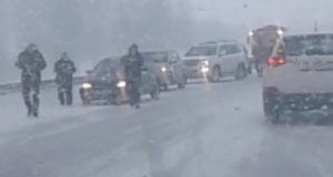 Предупреждение водителям: в соседнем Алтайском крае на дорогах штормовые условия Предупреждение водителям: в соседнем Алтайском крае на дорогах штормовые условия