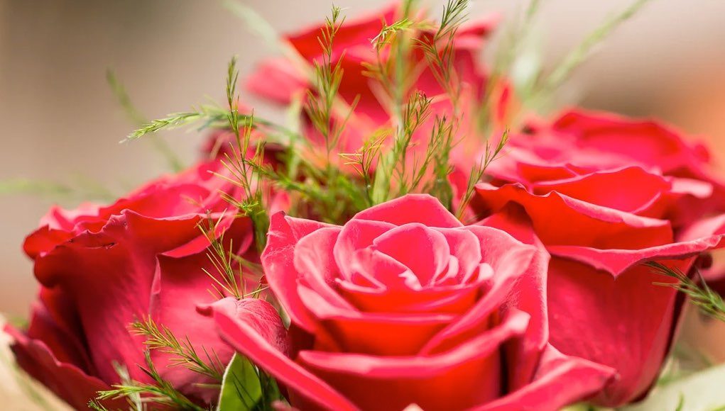 Выдающиеся женщины Республики Алтай получили государственные награды