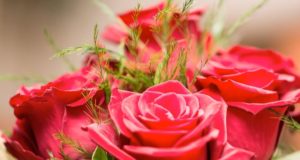 Выдающиеся женщины Республики Алтай получили государственные награды