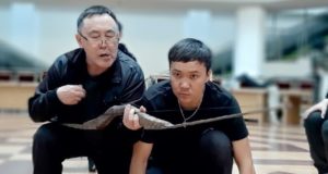 Премьера спектакля «Кабай» на алтайском языке пройдет в Национальном театре Премьера спектакля «Кабай» на алтайском языке пройдет в Национальном театре