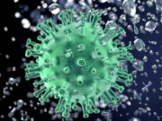 Сводка по коронавирусу: четыре новых случая за сутки Сводка по коронавирусу: четыре новых случая за сутки