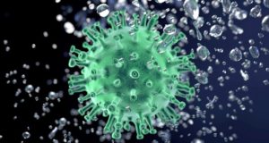 Сводка по коронавирусу: четыре новых случая за сутки Сводка по коронавирусу: четыре новых случая за сутки