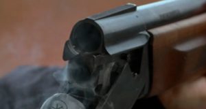 Полицейский расстрелял девять лошадей и ранил еще двух Полицейский расстрелял девять лошадей и ранил еще двух