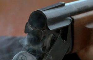 Полицейский расстрелял девять лошадей и ранил еще двух Полицейский расстрелял девять лошадей и ранил еще двух