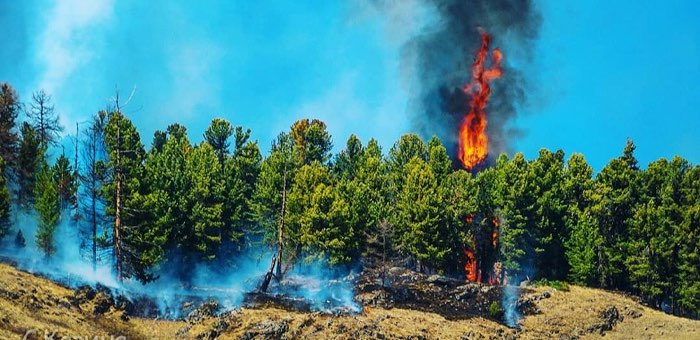 Республика Алтай готовится к борьбе с природными пожарами