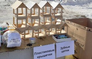Акция «Экодвор» пройдет в Горно-Алтайске 17 апреля