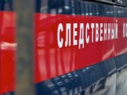 Александр Бастрыкин поручил доложить о ряде происшествий с участием несовершеннолетних