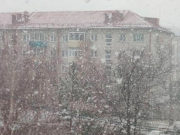 В начале следующей недели заметно похолодает В начале следующей недели заметно похолодает