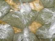 У жителя Онгудайского района изъяли 16 пакетов с марихуаной У жителя Онгудайского района изъяли 16 пакетов с марихуаной