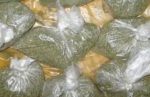 У жителя Онгудайского района изъяли 16 пакетов с марихуаной У жителя Онгудайского района изъяли 16 пакетов с марихуаной