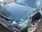 Мотоциклист протаранил «Тойоту» в Улаганском районе Мотоциклист протаранил Toyota Corona Premio в Улаганском районе