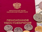 Женщина почти полтора года получала пенсию и другие выплаты на умершего ребенка-инвалида Женщина почти полтора года получила пенсию и другие выплаты на умершего ребенка-инвалида