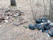На горе Бешпек в Чемале прокуратура обнаружила свалки На горе Бешпек в Чемале прокуратура обнаружила свалки